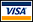 Secure Visa payment