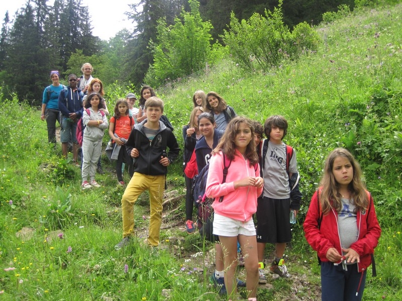 Village Camps International Summer Camp Leysin, Switzerland 2025-08-09 https://www.villagecamps.com/journals_admin/images/1007-16-IMG_0584.jpg