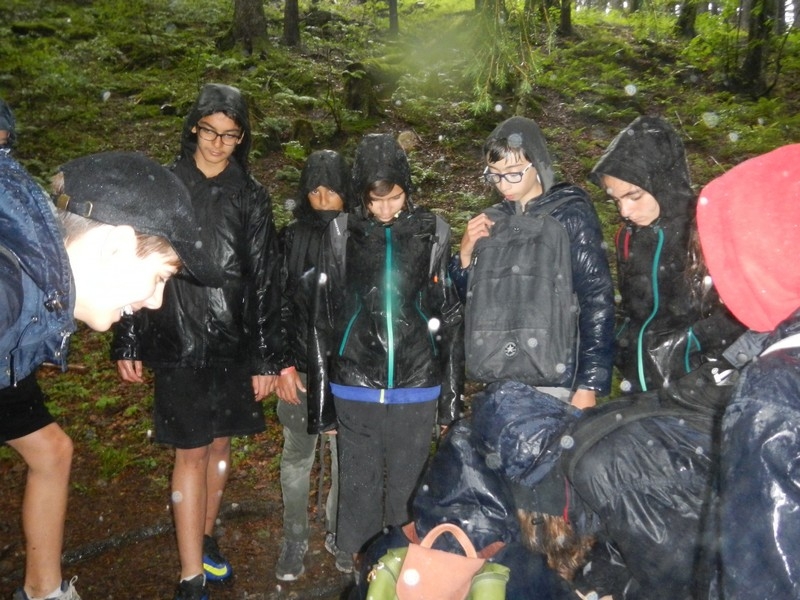Village Camps International Summer Camp Leysin, Switzerland 2026-08-15 https://www.villagecamps.com/journals_admin/images/1010-43-DSCN9592.jpg Village Camps International Summer Camp Leysin, Switzerland 2026-08-15 https://www.villagecamps.com/journals_admin/images/1010-43-DSCN9592.jpg