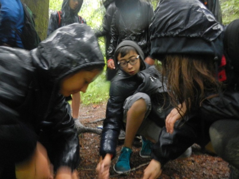 Village Camps International Summer Camp Leysin, Switzerland 2025-08-09 https://www.villagecamps.com/journals_admin/images/1010-43-DSCN9593.jpg