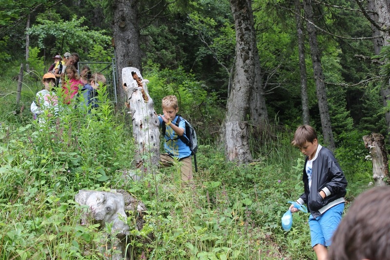 Village Camps International Summer Camp Leysin, Switzerland 2026-08-15 https://www.villagecamps.com/journals_admin/images/1035-16-IMG_9715.jpg Village Camps International Summer Camp Leysin, Switzerland 2026-08-15 https://www.villagecamps.com/journals_admin/images/1035-16-IMG_9715.jpg