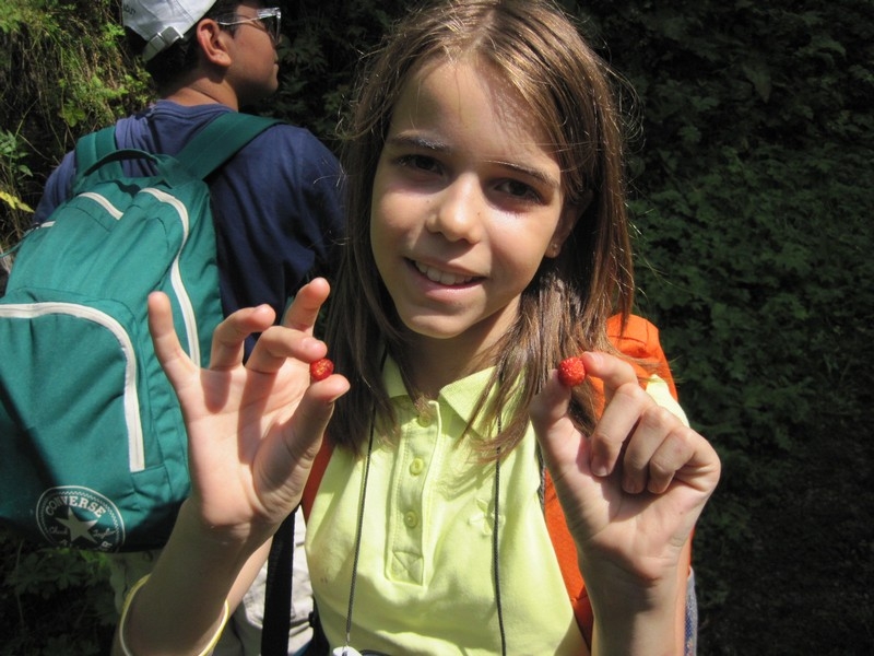 Village Camps International Summer Camp Leysin, Switzerland 2025-08-09 https://www.villagecamps.com/journals_admin/images/1036-15-IMG_0727.jpg Village Camps International Summer Camp Leysin, Switzerland 2025-08-09 https://www.villagecamps.com/journals_admin/images/1036-15-IMG_0727.jpg
