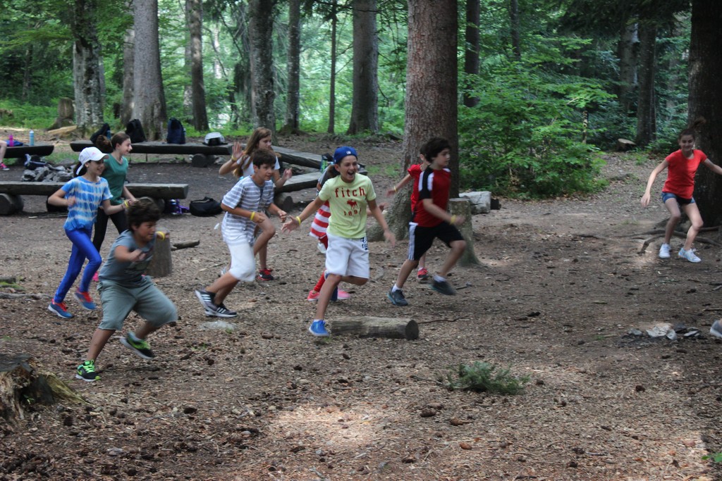 Village Camps International Summer Camp Leysin, Switzerland 2026-07-10 https://www.villagecamps.com/journals_admin/images/1182-6166-IMG_6060.jpg