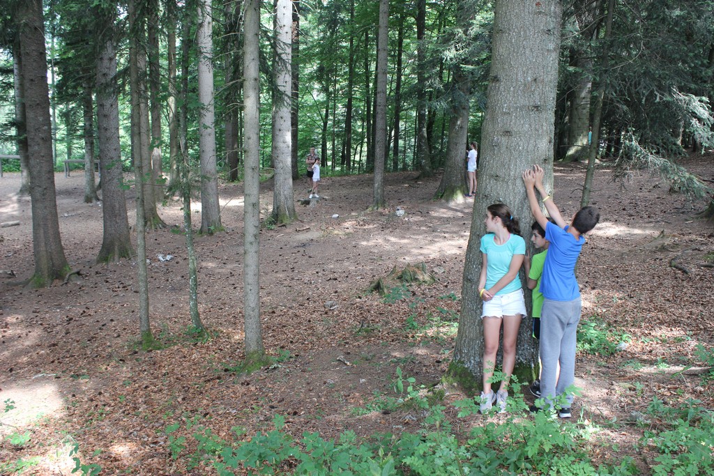 Village Camps International Summer Camp Leysin, Switzerland 2026-08-15 https://www.villagecamps.com/journals_admin/images/1182-6182-IMG_6107.jpg