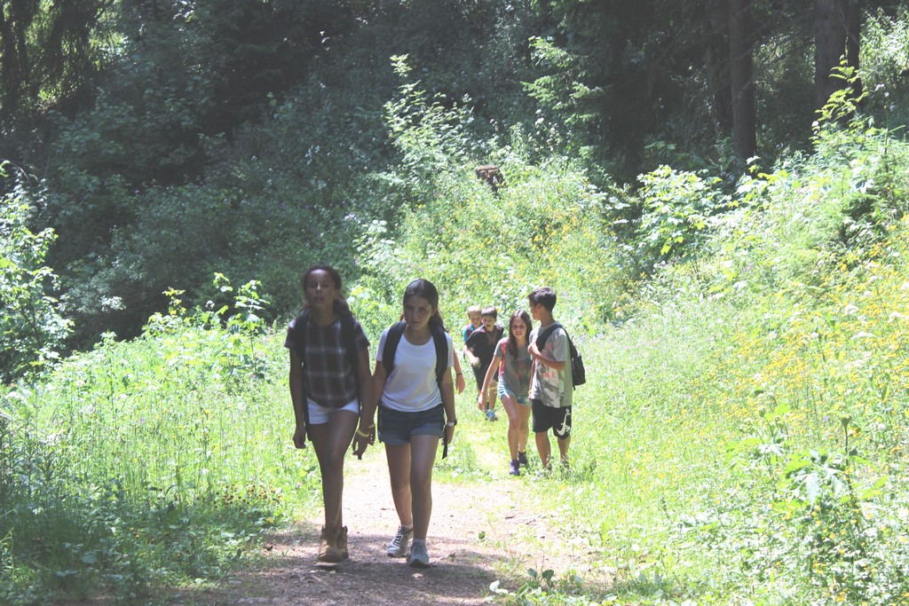 Village Camps International Summer Camp Leysin, Switzerland 2025-08-09 https://www.villagecamps.com/journals_admin/images/1185-5227-IMG_6905.jpg Village Camps International Summer Camp Leysin, Switzerland 2025-08-09 https://www.villagecamps.com/journals_admin/images/1185-5227-IMG_6905.jpg