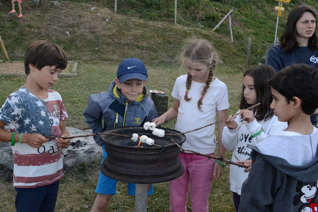 Village Camps International Summer Camp Leysin, Switzerland 2025-08-09 https://www.villagecamps.com/journals_admin/images/1306-9728-DSC_0523.jpg