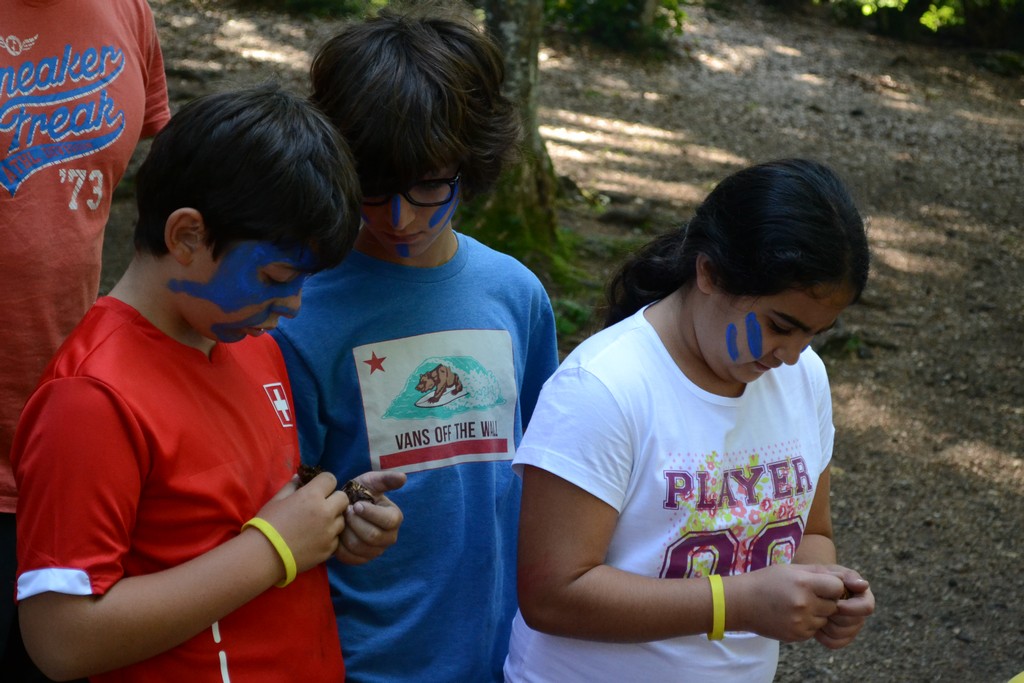 Village Camps International Summer Camp Leysin, Switzerland 2025-08-09 https://www.villagecamps.com/journals_admin/images/1307-4587-DSC_0570.jpg