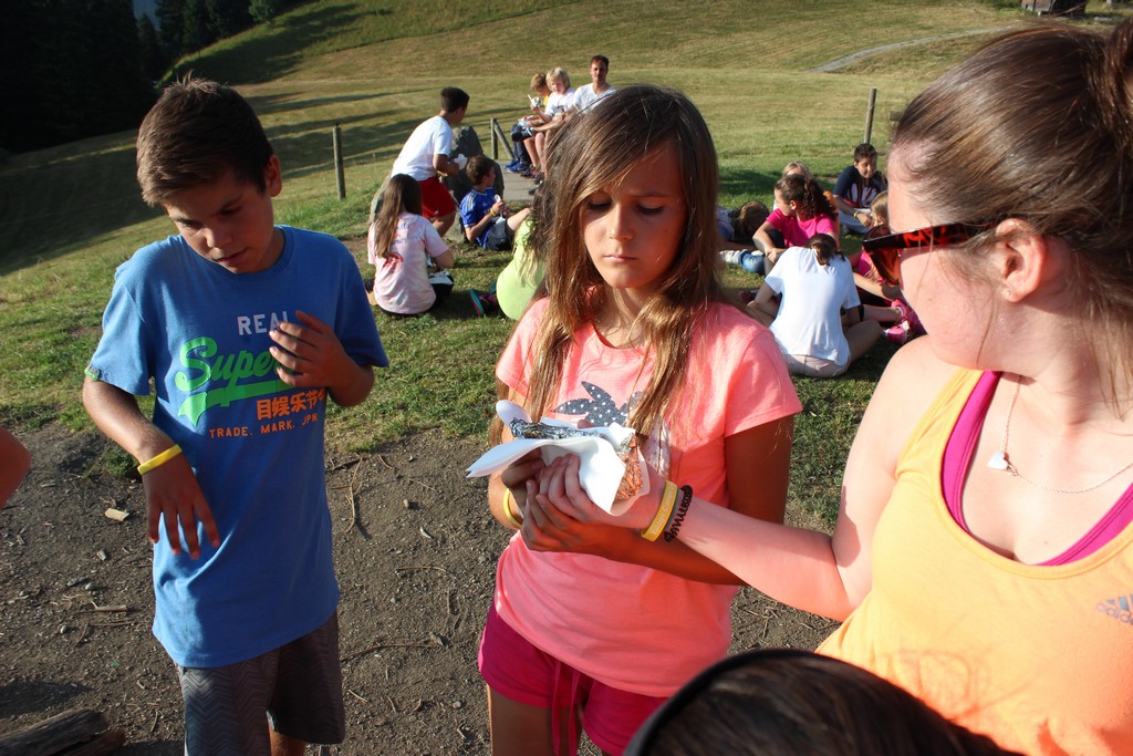 Village Camps International Summer Camp Leysin, Switzerland 2026-08-15 https://www.villagecamps.com/journals_admin/images/1312-9044-IMG_9922.jpg