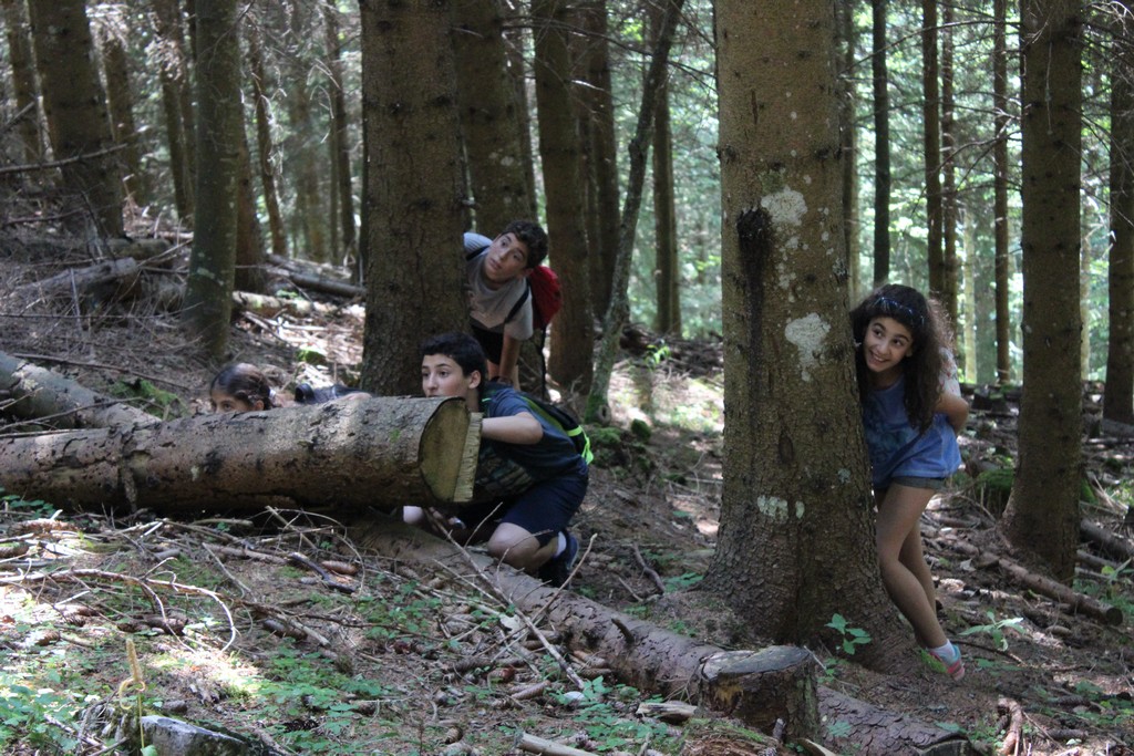 Village Camps International Summer Camp Leysin, Switzerland 2025-08-09 https://www.villagecamps.com/journals_admin/images/1315-3007-IMG_0034.jpg