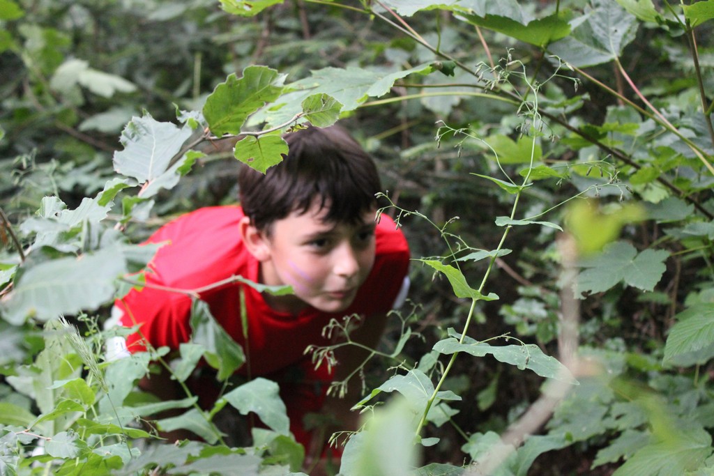 Village Camps International Summer Camp Leysin, Switzerland 2025-08-09 https://www.villagecamps.com/journals_admin/images/1315-7315-IMG_0070.jpg