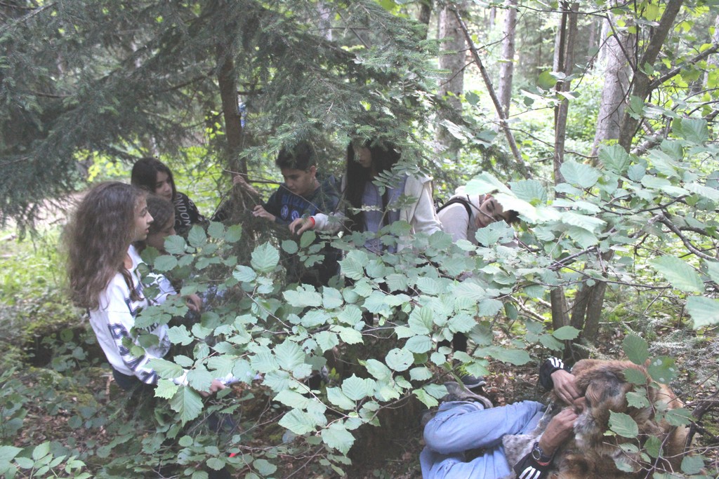 Village Camps International Summer Camp Leysin, Switzerland 2026-07-06 https://www.villagecamps.com/journals_admin/images/1325-6868-IMG_1970.jpg Village Camps International Summer Camp Leysin, Switzerland 2026-07-06 https://www.villagecamps.com/journals_admin/images/1325-6868-IMG_1970.jpg