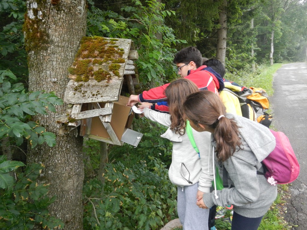 Village Camps International Summer Camp Leysin, Switzerland 2025-08-09 https://www.villagecamps.com/journals_admin/images/1328-3697-DSCN1946.jpg