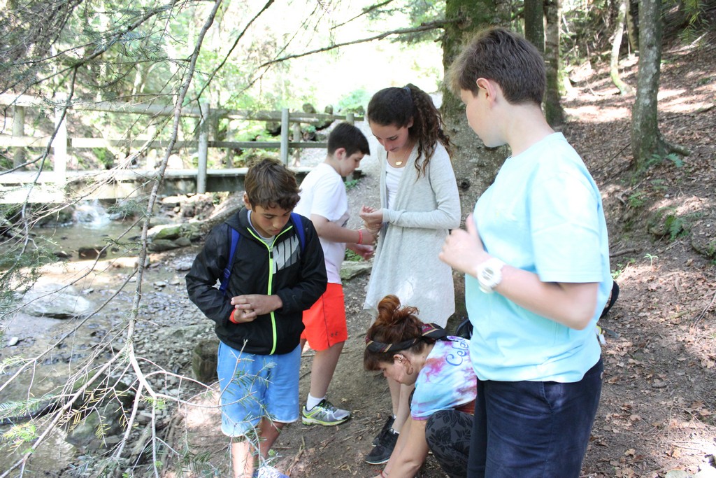 Village Camps International Summer Camp Leysin, Switzerland 2025-08-09 https://www.villagecamps.com/journals_admin/images/1356-3069-IMG_7549.jpg