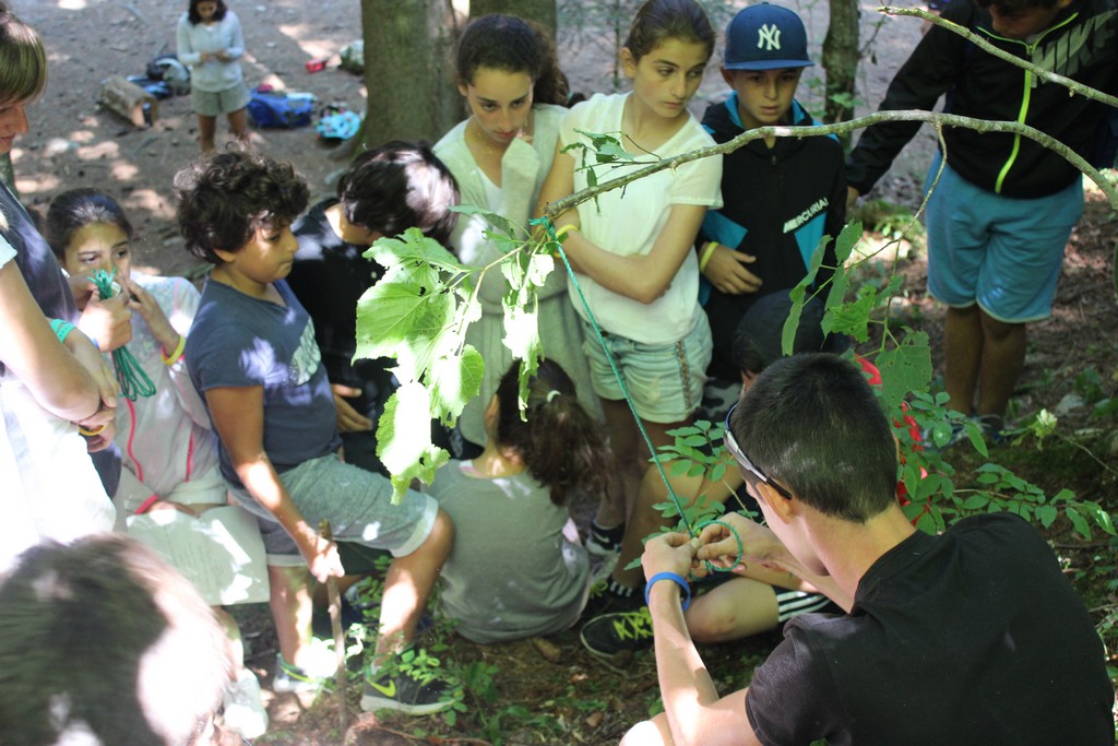 Village Camps International Summer Camp Leysin, Switzerland 2025-08-09 https://www.villagecamps.com/journals_admin/images/1356-3145-IMG_7608.jpg