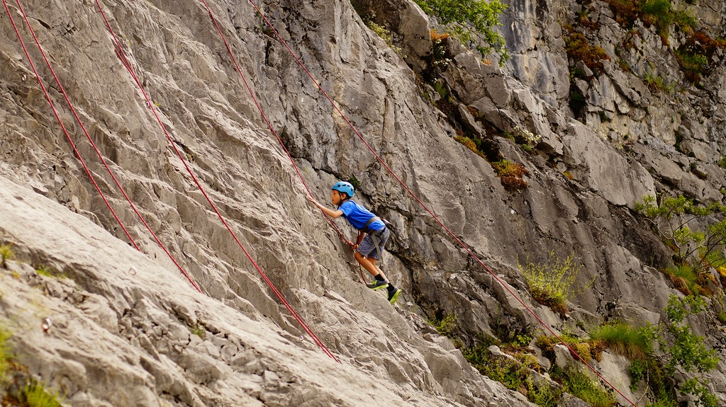 Village Camps International Summer Camp Leysin, Switzerland 2026-08-15 https://www.villagecamps.com/journals_admin/images/1580-8810-_DSC0062.jpg