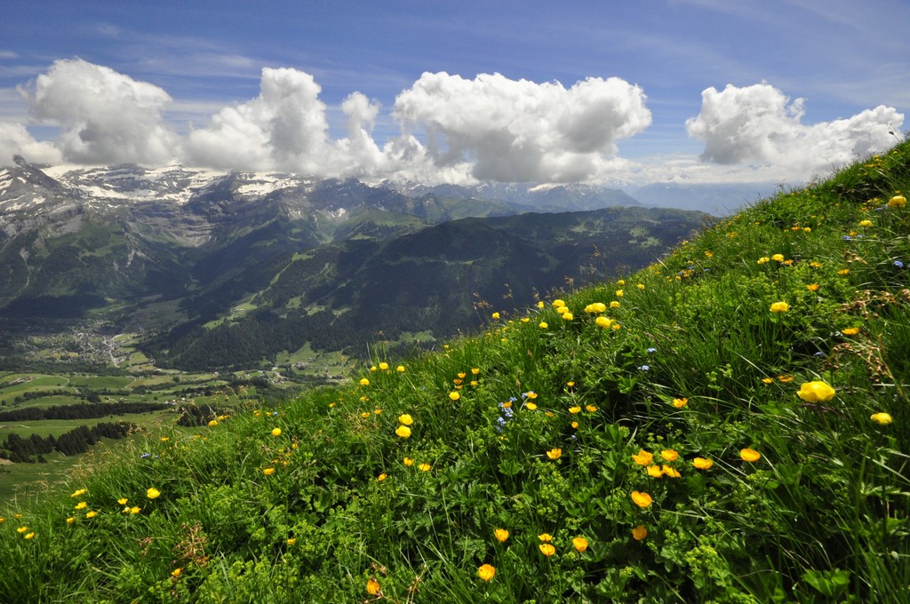 Village Camps International Summer Camp Leysin, Switzerland 2025-08-09 https://www.villagecamps.com/journals_admin/images/1582-3977-_DSC0325.jpg