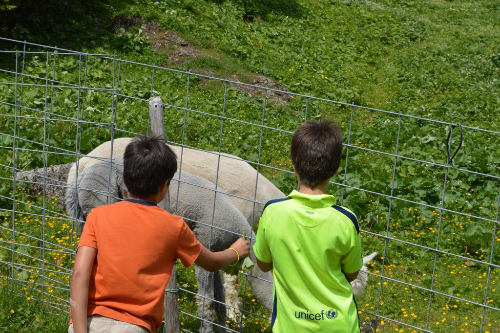 Village Camps International Summer Camp Leysin, Switzerland 2026-08-15 https://www.villagecamps.com/journals_admin/images/1586-7505-DSC_1943.jpg Village Camps International Summer Camp Leysin, Switzerland 2026-08-15 https://www.villagecamps.com/journals_admin/images/1586-7505-DSC_1943.jpg