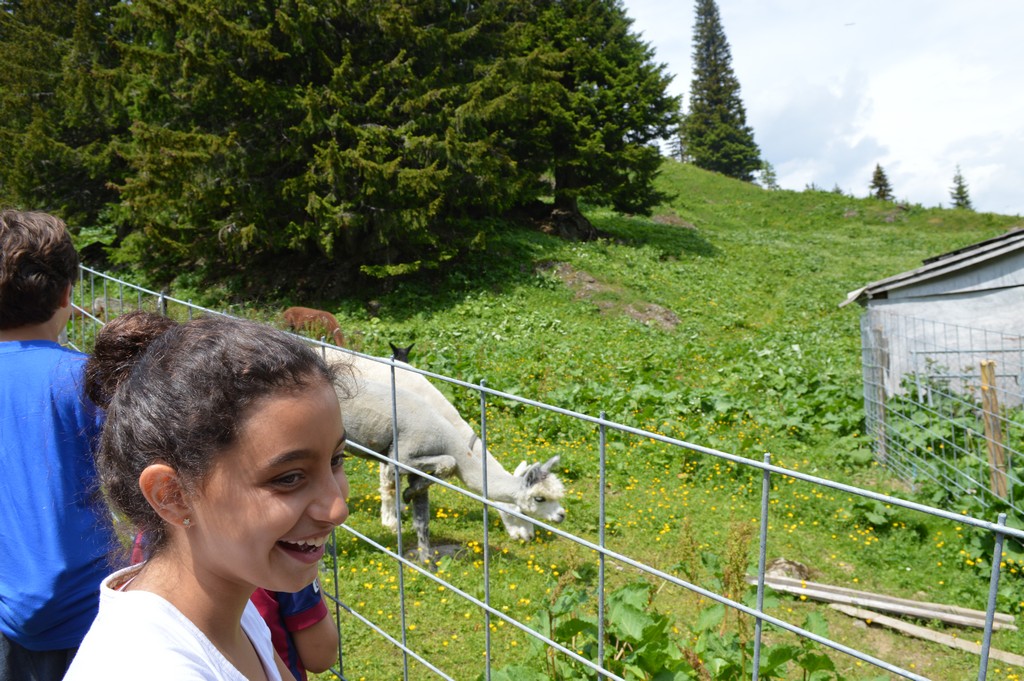 Village Camps International Summer Camp Leysin, Switzerland 2026-08-15 https://www.villagecamps.com/journals_admin/images/1586-7549-DSC_1950.jpg Village Camps International Summer Camp Leysin, Switzerland 2026-08-15 https://www.villagecamps.com/journals_admin/images/1586-7549-DSC_1950.jpg