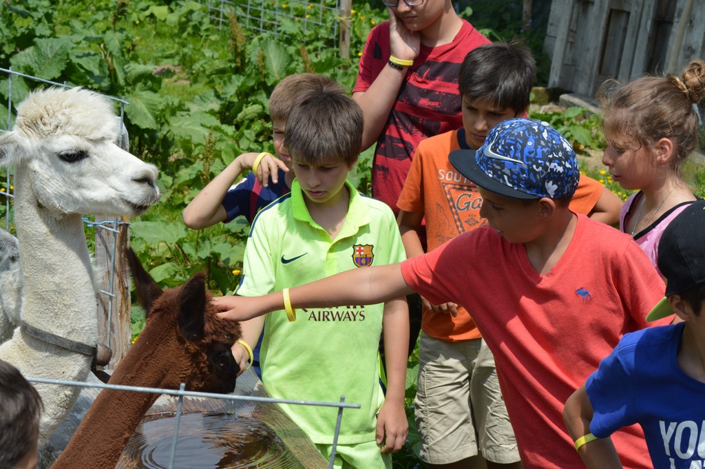 Village Camps International Summer Camp Leysin, Switzerland 2025-08-09 https://www.villagecamps.com/journals_admin/images/1586-7553-DSC_1961.jpg