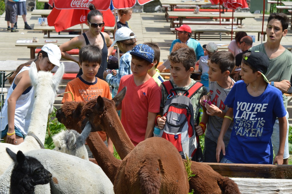 Village Camps International Summer Camp Leysin, Switzerland 2026-08-15 https://www.villagecamps.com/journals_admin/images/1586-7597-DSC_1954.jpg Village Camps International Summer Camp Leysin, Switzerland 2026-08-15 https://www.villagecamps.com/journals_admin/images/1586-7597-DSC_1954.jpg