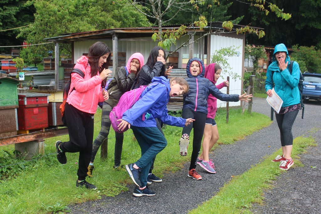 Village Camps International Summer Camp Leysin, Switzerland 2025-08-09 https://www.villagecamps.com/journals_admin/images/1588-1536-IMG_5360.jpg