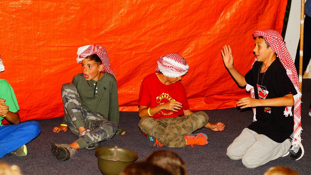Village Camps International Summer Camp Leysin, Switzerland 2025-08-09 https://www.villagecamps.com/journals_admin/images/1589-9860-_DSC0202f.jpg
