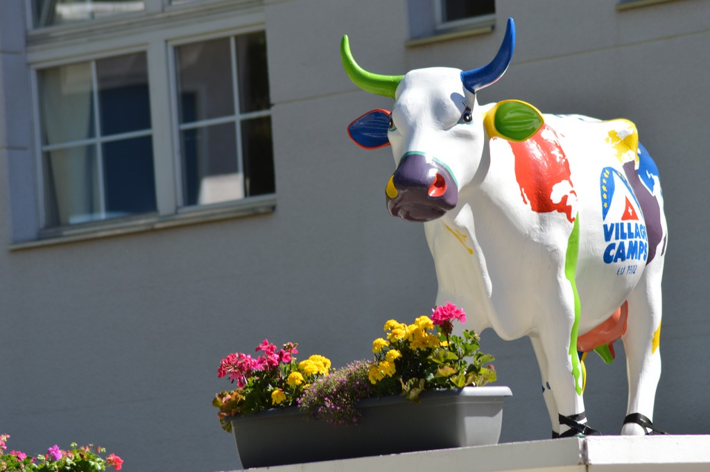 Village Camps International Summer Camp Leysin, Switzerland 2025-08-09 https://www.villagecamps.com/journals_admin/images/1591-4927-DSC_3866.jpg