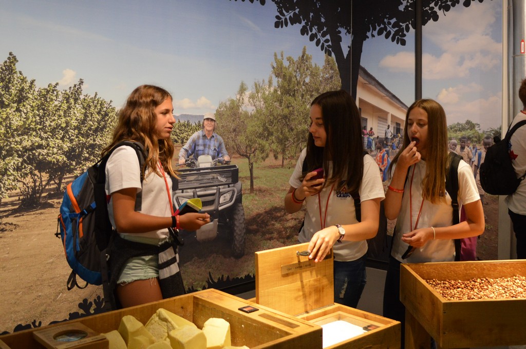 Village Camps International Summer Camp Leysin, Switzerland 2026-07-14 https://www.villagecamps.com/journals_admin/images/1598-2690-DSC_7646.jpg