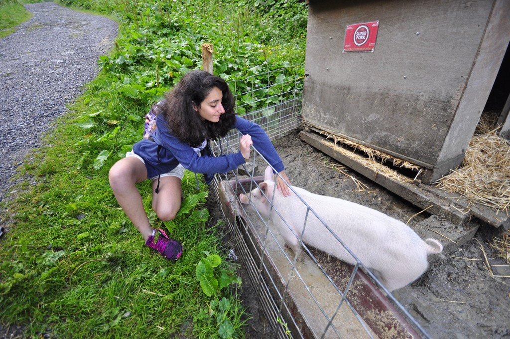 Village Camps International Summer Camp Leysin, Switzerland 2025-08-09 https://www.villagecamps.com/journals_admin/images/1601-4436-_DSC0522.jpg
