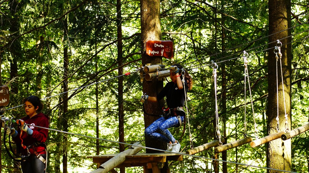 Village Camps International Summer Camp Leysin, Switzerland 2025-08-09 https://www.villagecamps.com/journals_admin/images/1603-8024-_DSC0091.jpg