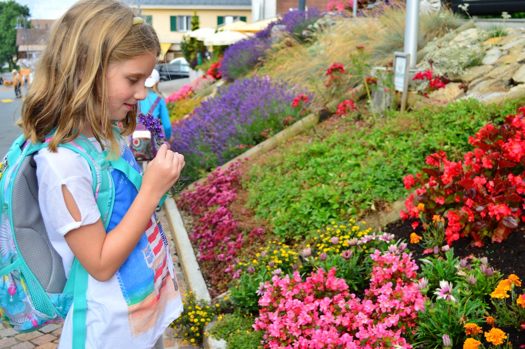 Village Camps International Summer Camp Leysin, Switzerland 2025-08-09 https://www.villagecamps.com/journals_admin/images/1635-4592-DSC_2512.jpg