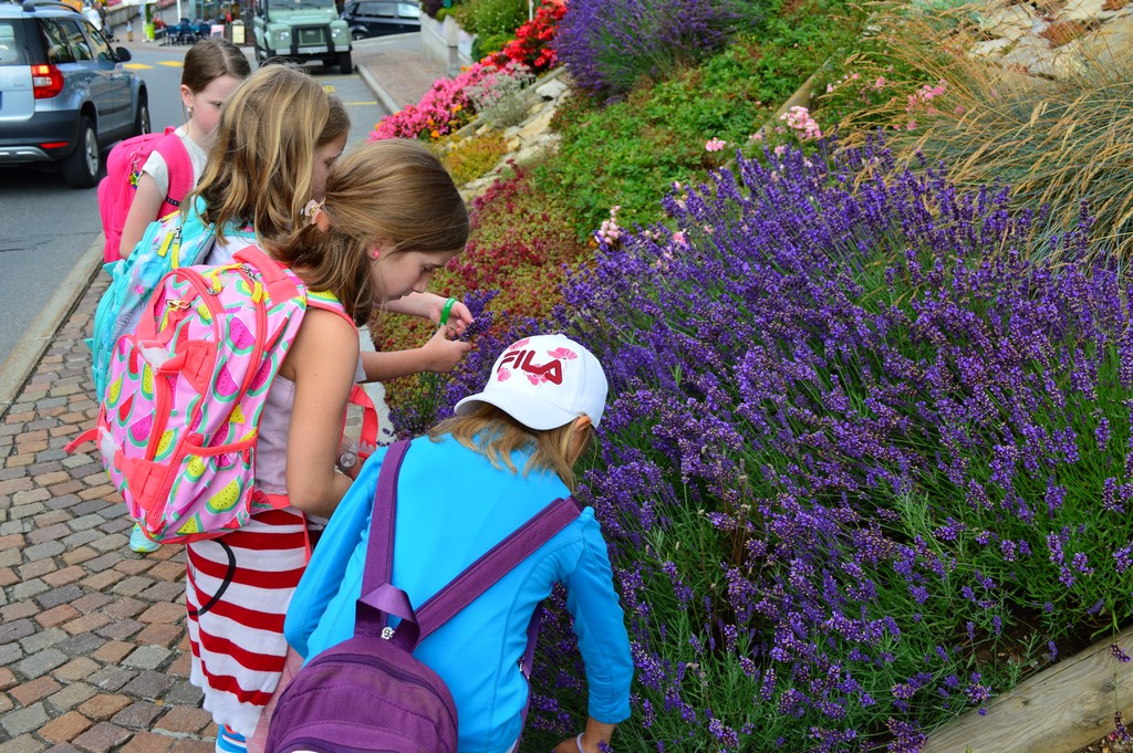 Village Camps International Summer Camp Leysin, Switzerland 2025-08-09 https://www.villagecamps.com/journals_admin/images/1635-4626-DSC_2515.jpg