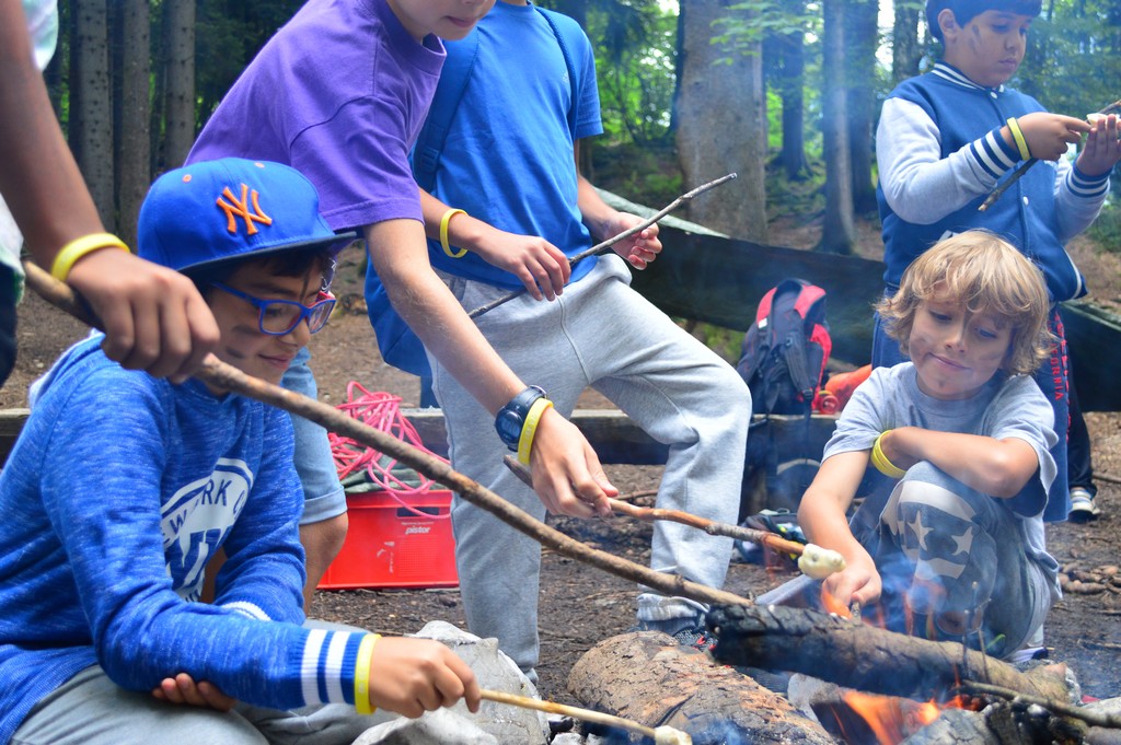 Village Camps International Summer Camp Leysin, Switzerland 2026-08-15 https://www.villagecamps.com/journals_admin/images/1636-8036-DSC_3141.jpg