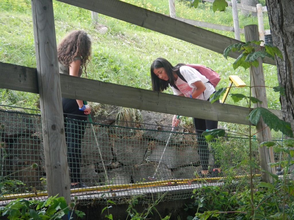 Village Camps International Summer Camp Leysin, Switzerland 2026-08-15 https://www.villagecamps.com/journals_admin/images/1637-0546-DSCN2925.jpg