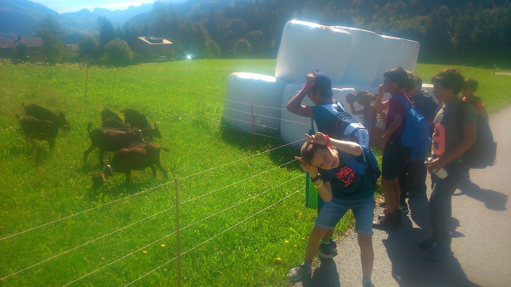 Village Camps International Summer Camp Leysin, Switzerland 2025-08-09 https://www.villagecamps.com/journals_admin/images/1637-2250-DSC_0116.jpg