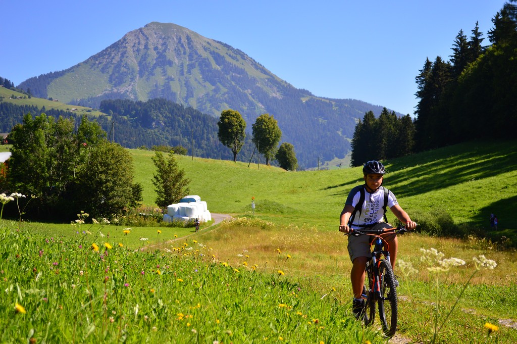 Village Camps International Summer Camp Leysin, Switzerland 2025-08-09 https://www.villagecamps.com/journals_admin/images/1642-6280-DSC_6826.jpg