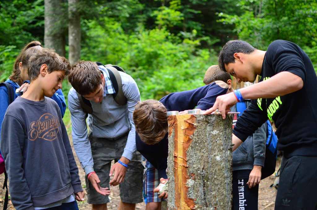 Village Camps International Summer Camp Leysin, Switzerland 2025-08-09 https://www.villagecamps.com/journals_admin/images/1646-2906-DSC_8725.jpg