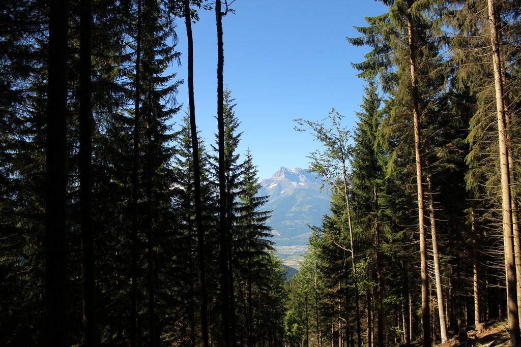 Village Camps International Summer Camp Leysin, Switzerland 2026-08-15 https://www.villagecamps.com/journals_admin/images/1784-0619-IMG_4787.jpg