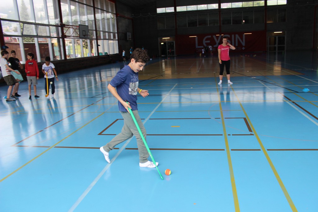 Village Camps International Summer Camp Leysin, Switzerland 2026-08-14 https://www.villagecamps.com/journals_admin/images/1785-0090-IMG_4231.jpg