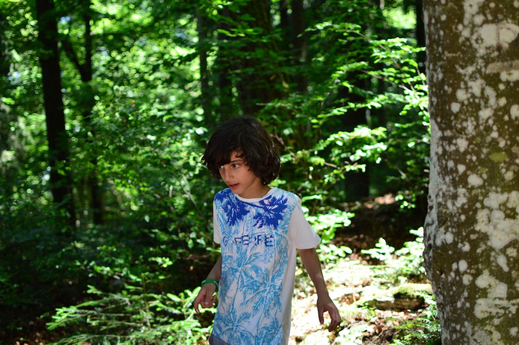 Village Camps International Summer Camp Leysin, Switzerland 2025-08-09 https://www.villagecamps.com/journals_admin/images/1786-8622-DSC_0397.jpg