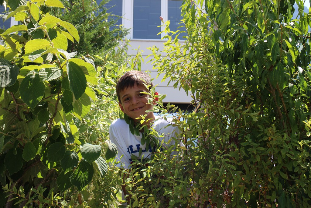 Village Camps International Summer Camp Leysin, Switzerland 2025-08-09 https://www.villagecamps.com/journals_admin/images/1789-0598-IMG_8629.jpg