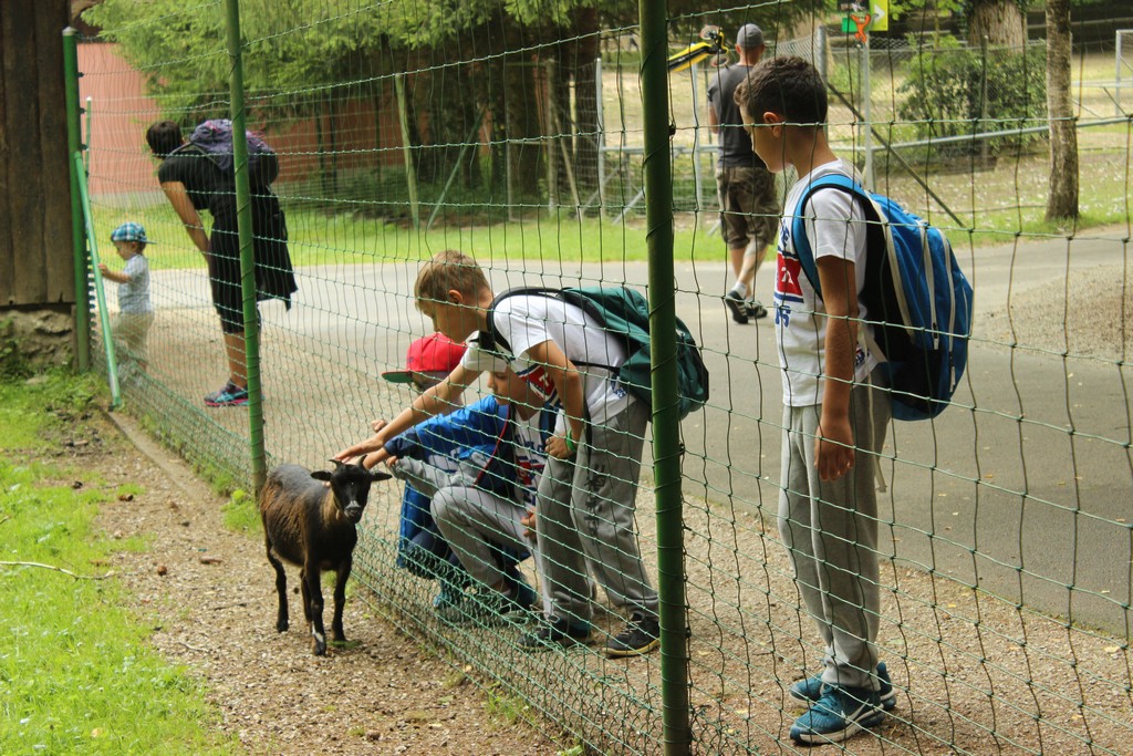 Village Camps International Summer Camp Leysin, Switzerland 2025-08-09 https://www.villagecamps.com/journals_admin/images/1790-1366-IMG_7962.jpg Village Camps International Summer Camp Leysin, Switzerland 2025-08-09 https://www.villagecamps.com/journals_admin/images/1790-1366-IMG_7962.jpg