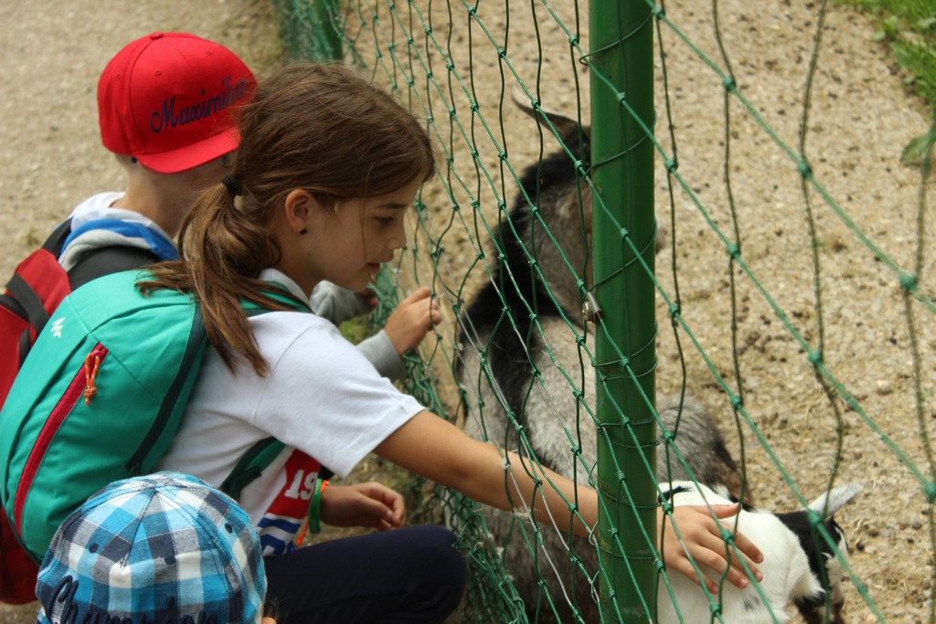 Village Camps International Summer Camp Leysin, Switzerland 2025-08-09 https://www.villagecamps.com/journals_admin/images/1790-1371-IMG_7969.jpg