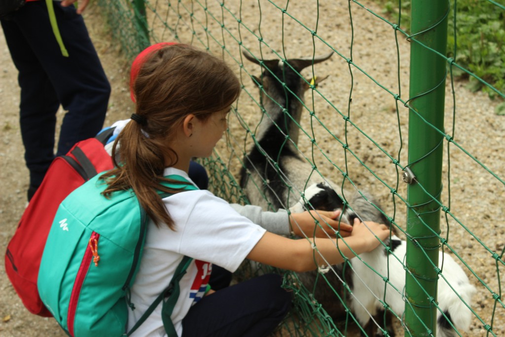 Village Camps International Summer Camp Leysin, Switzerland 2026-07-26 https://www.villagecamps.com/journals_admin/images/1790-1371-IMG_7971.jpg Village Camps International Summer Camp Leysin, Switzerland 2026-07-26 https://www.villagecamps.com/journals_admin/images/1790-1371-IMG_7971.jpg