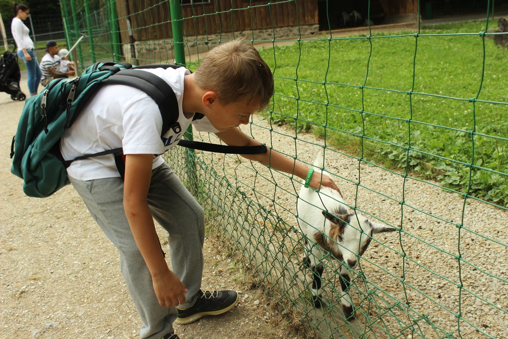 Village Camps International Summer Camp Leysin, Switzerland 2026-08-15 https://www.villagecamps.com/journals_admin/images/1790-1401-IMG_7976.jpg