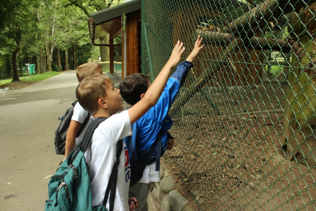 Village Camps International Summer Camp Leysin, Switzerland 2025-08-09 https://www.villagecamps.com/journals_admin/images/1790-1406-IMG_7984.jpg