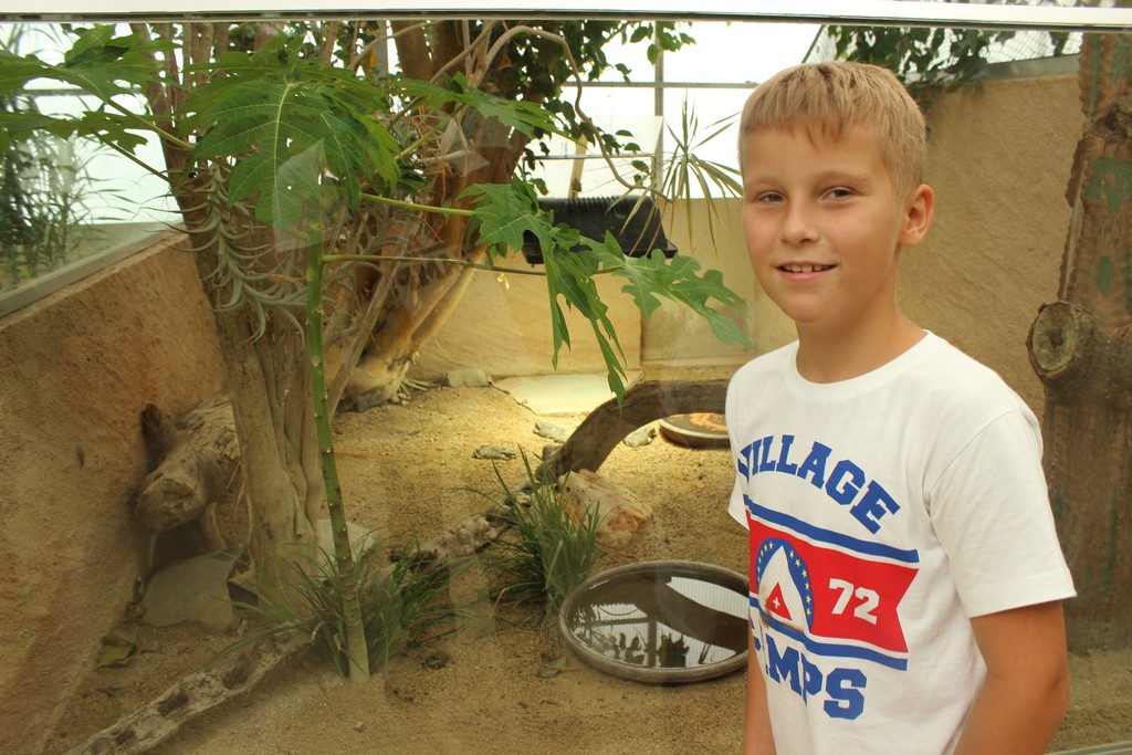 Village Camps International Summer Camp Leysin, Switzerland 2025-08-09 https://www.villagecamps.com/journals_admin/images/1790-1411-IMG_8045.jpg