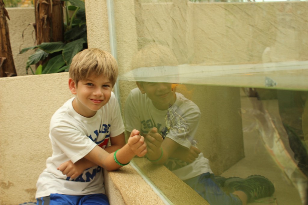 Village Camps International Summer Camp Leysin, Switzerland 2025-08-09 https://www.villagecamps.com/journals_admin/images/1790-1416-IMG_8046.jpg