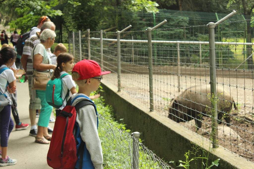 Village Camps International Summer Camp Leysin, Switzerland 2026-08-15 https://www.villagecamps.com/journals_admin/images/1790-1418-IMG_7994.jpg