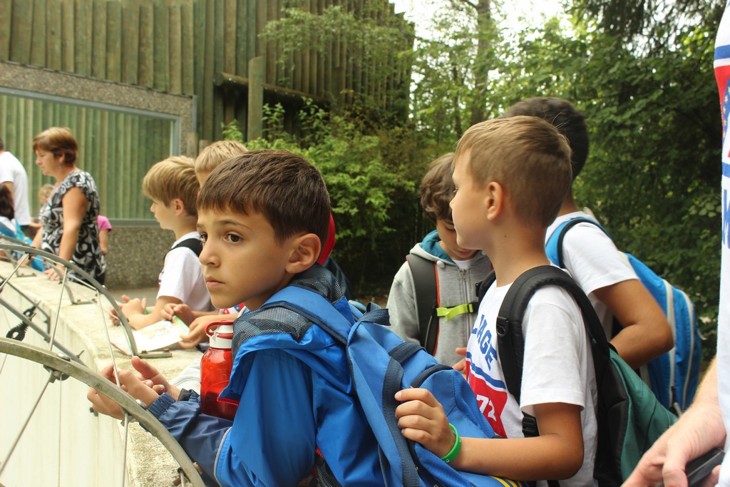 Village Camps International Summer Camp Leysin, Switzerland 2025-08-09 https://www.villagecamps.com/journals_admin/images/1790-1420-IMG_8007.jpg Village Camps International Summer Camp Leysin, Switzerland 2025-08-09 https://www.villagecamps.com/journals_admin/images/1790-1420-IMG_8007.jpg